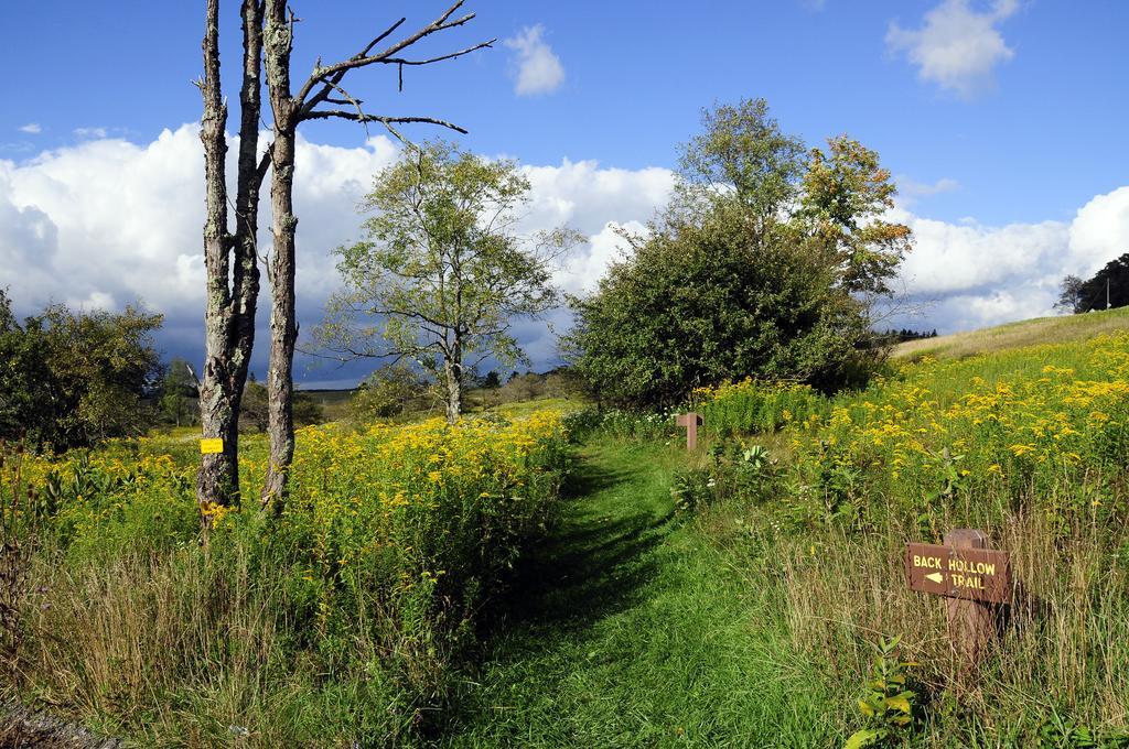 ديفيس Canaan Valley Resort State Park المظهر الخارجي الصورة