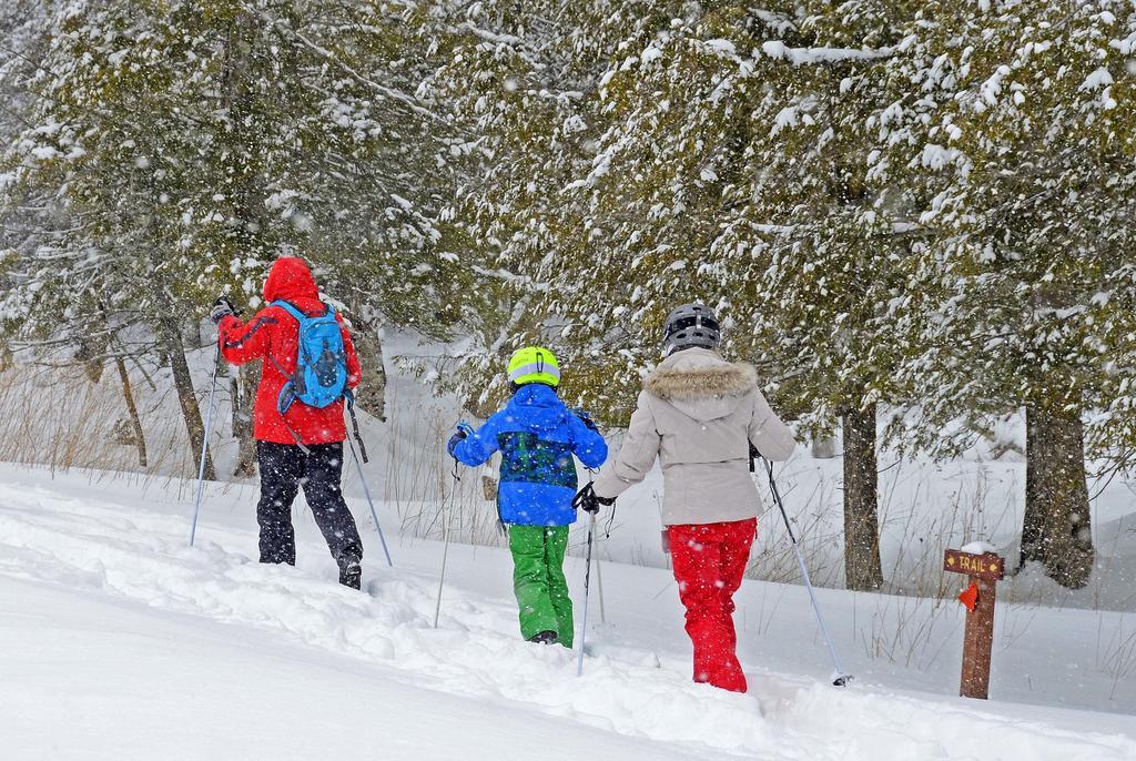 ديفيس Canaan Valley Resort State Park المظهر الخارجي الصورة