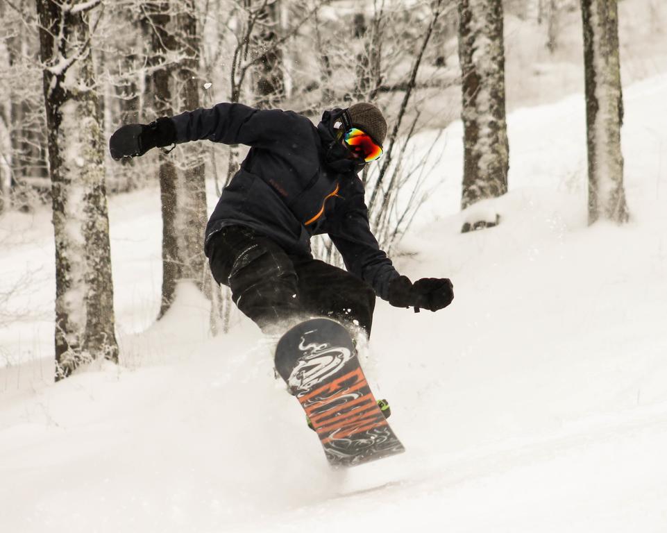 ديفيس Canaan Valley Resort State Park المظهر الخارجي الصورة