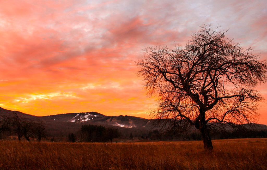 ديفيس Canaan Valley Resort State Park المظهر الخارجي الصورة