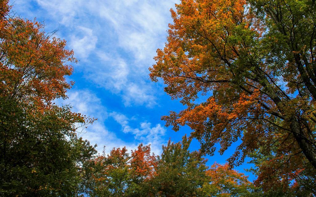 ديفيس Canaan Valley Resort State Park المظهر الخارجي الصورة