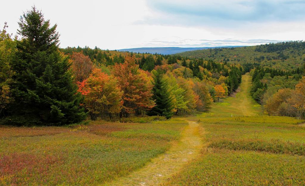 ديفيس Canaan Valley Resort State Park المظهر الخارجي الصورة