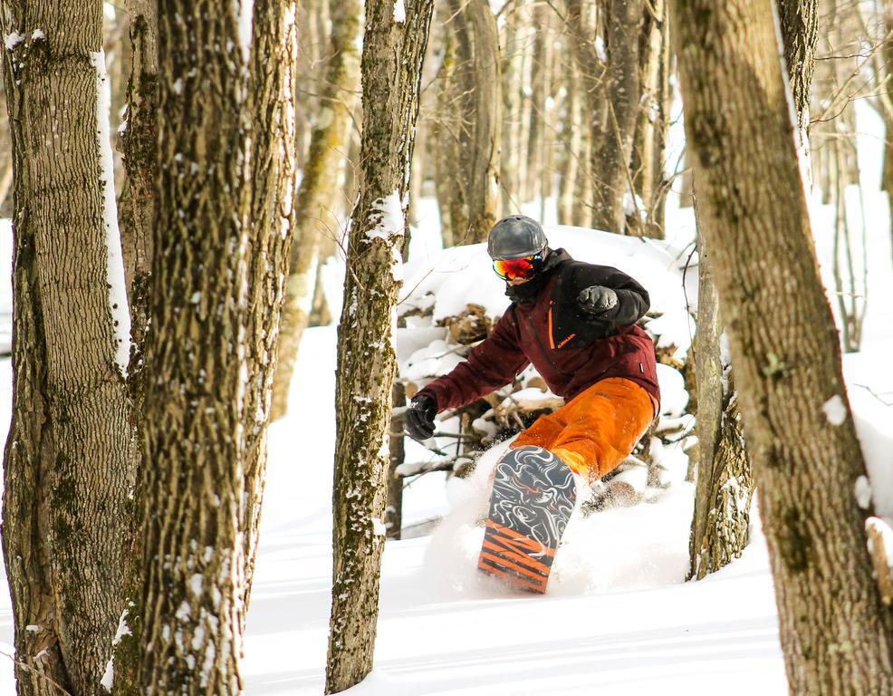 ديفيس Canaan Valley Resort State Park المظهر الخارجي الصورة