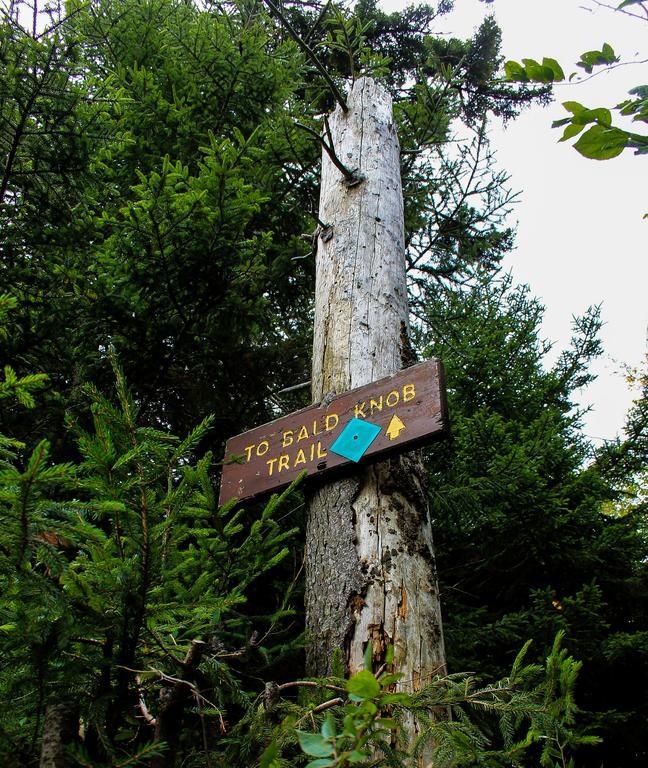 ديفيس Canaan Valley Resort State Park المظهر الخارجي الصورة