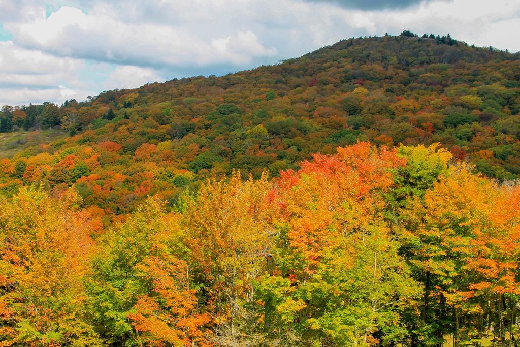 ديفيس Canaan Valley Resort State Park المظهر الخارجي الصورة
