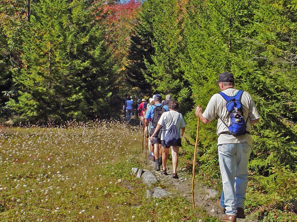ديفيس Canaan Valley Resort State Park المظهر الخارجي الصورة