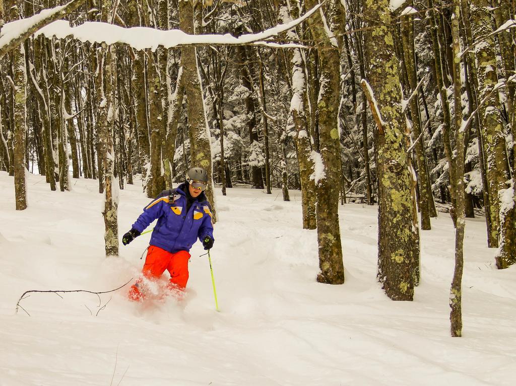 ديفيس Canaan Valley Resort State Park المظهر الخارجي الصورة