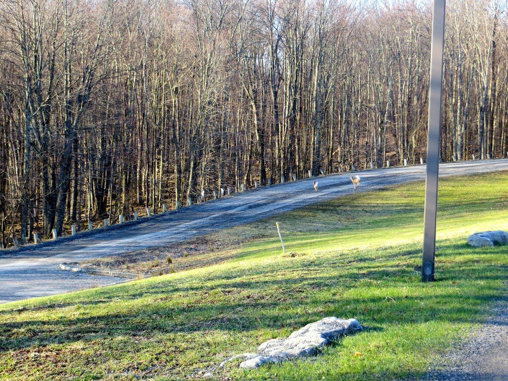 ديفيس Canaan Valley Resort State Park المظهر الخارجي الصورة